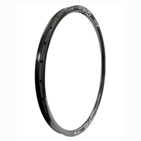 Nunc congue dui nec...