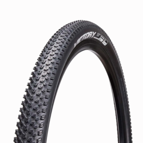 Nunc congue dui nec...